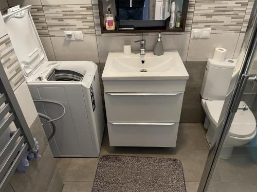 a small bathroom with a sink and a toilet at Dom na skraju lasu in Arciechow