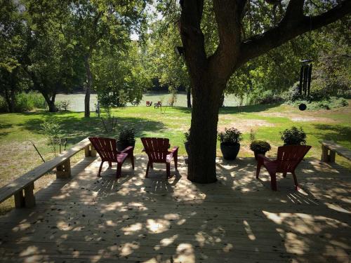 バストロップにあるRiversEdgeの公園の木に座る椅子