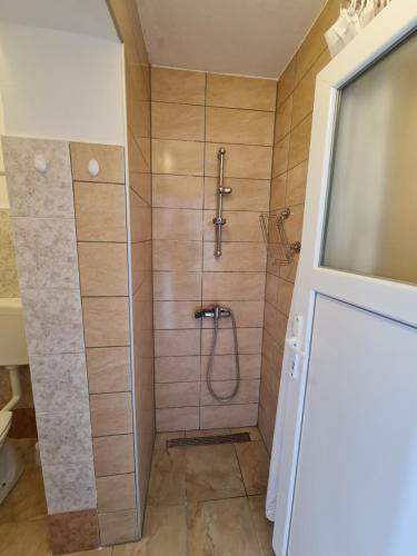 Kopalnica v nastanitvi APARTMA PINA