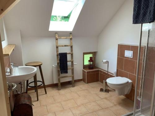 La salle de bains est pourvue d'un lavabo, de toilettes et d'une douche. dans l'établissement Luxusboofe - Ferienhaus am Lilienstein, à Königstein