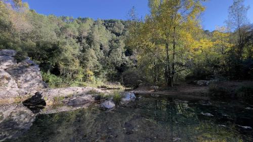 a river in the middle of a forest at La Farga de la Muga in Sant Llorenç de la Muga