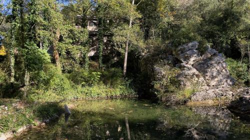 a body of water in a forest with trees at La Farga de la Muga in Sant Llorenç de la Muga