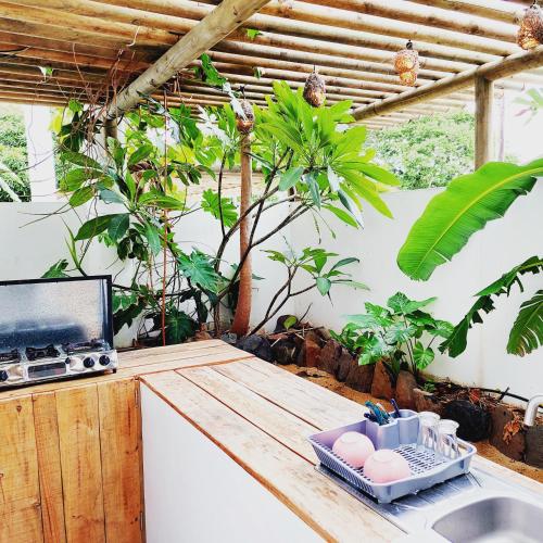 a kitchen with a counter with a sink and plants at Les Terrasses du Bénitier in La Gaulette
