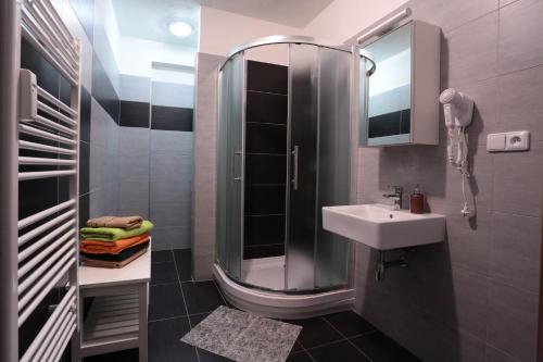 a bathroom with a sink and a shower with a mirror at Apartman 13 Vsemina in Všemina