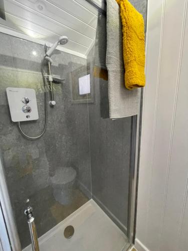 a bathroom with a shower with a glass door at Ty Olwyn Bach, Coity Bach in Brecon