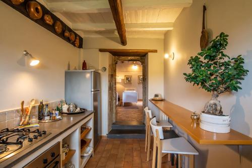 a kitchen with a counter and a refrigerator at Astar Civita in Bagnoregio
