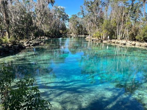 a river with blue water and trees in the background at House of Manatees-Entire house with yard, fire pit, dog friendly in Crystal River