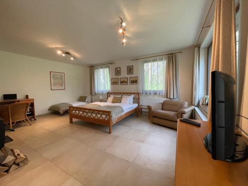 a bedroom with a bed and a couch and a tv at Kersko Apartments in Hradišťko
