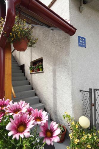 Gambar di galeri bagi Apartment Šume Pjevaju di Mrkopalj
