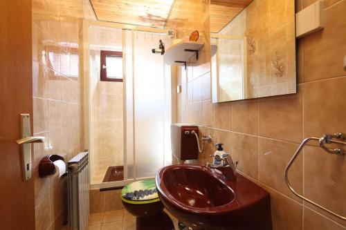 a bathroom with a sink and a toilet at Apartment Šume Pjevaju in Mrkopalj