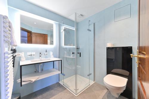a bathroom with a glass shower and a toilet at Hotel Rheinfels in Stein am Rhein