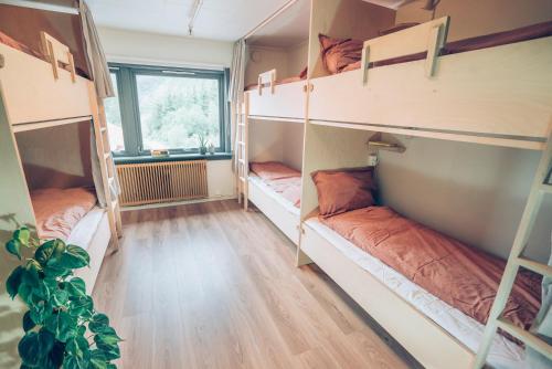 two bunk beds in a room with a window at FURU Hostel & Café in Bøstad