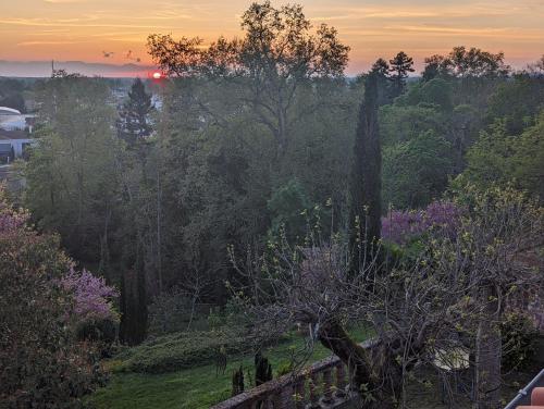 un coucher de soleil sur un champ planté d'arbres et de fleurs dans l'établissement Moustier, à Montauban