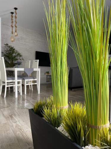 apartamento banferra في خيريز دي لا فرونتيرا: غرفة معيشة مع طاولة وكراسي والنباتات