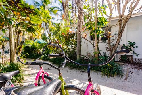 Blue Dolphin Hotel – Photos 3