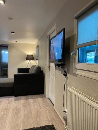 a living room with a couch and a flat screen tv at S-CHALET Camping mit Comfort im Schwarzwald in Steinach