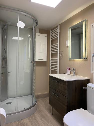 a bathroom with a shower and a sink and a toilet at S-CHALET Camping mit Comfort im Schwarzwald in Steinach