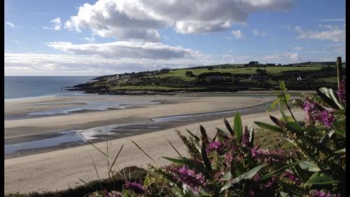 a view of a beach with flowers in the foreground at The Well Bed & Breakfast in Clonakilty