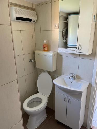 a small bathroom with a toilet and a sink at Apartman Magdalena in Banja Koviljača