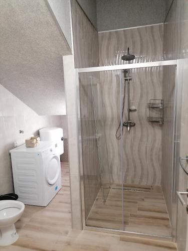 a bathroom with a shower with a toilet and a sink at Apartman Nina in Kali