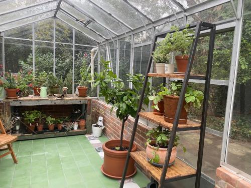 a greenhouse with a bunch of plants in it at Pear Tree Cabin in Beaulieu