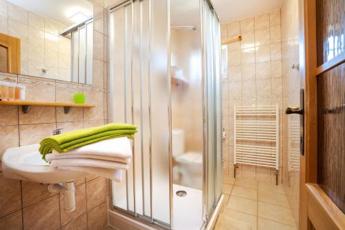 y baño con ducha y lavamanos. en Penzion U Černého kohoutka en Zdíkov