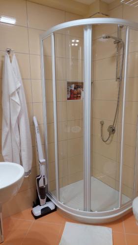 a shower with a glass door in a bathroom at Apartma Marjetica in Gozd Martuljek
