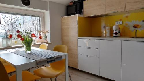 A kitchen or kitchenette at Apartma Marjetica