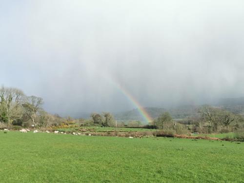 a rainbow in the middle of a field with a rainbow at Rainors farm B&B in Gosforth