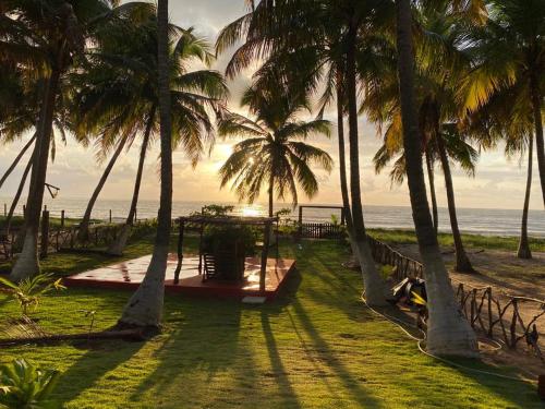 a group of palm trees on a beach with the ocean at Parador Algaroba in Japaratinga