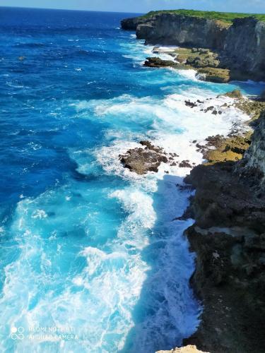an aerial view of the ocean and a rocky coastline at Kaz a Klemence Gite creole avec piscine et table dhotes a Anse Bertrand in Anse-Bertrand