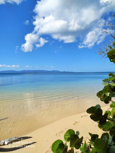 a view of the ocean from a beach at Kaz a Klemence Gite creole avec piscine et table dhotes a Anse Bertrand in Anse-Bertrand