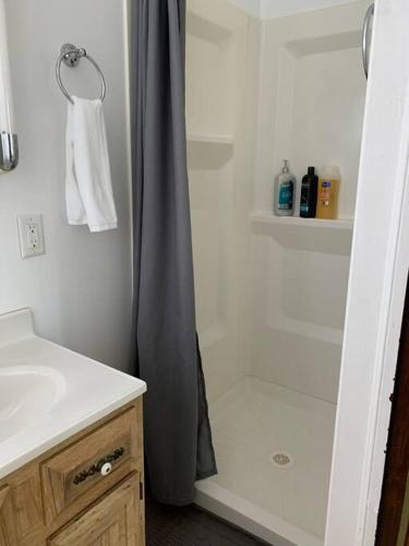 a bathroom with a shower curtain and a sink at Cute and cozy at Niagara Falls USA in Niagara Falls