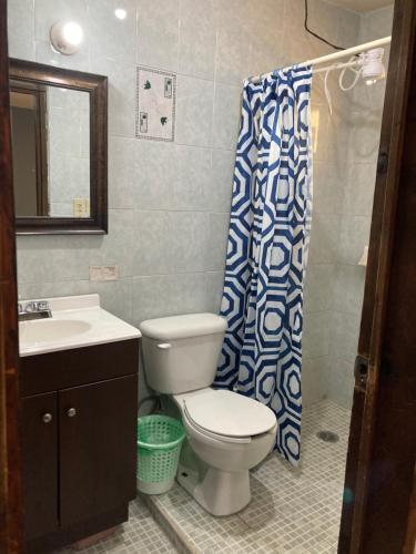 a bathroom with a toilet and a shower curtain at Apartamento con cochera centro de la ciudad. in La Paz