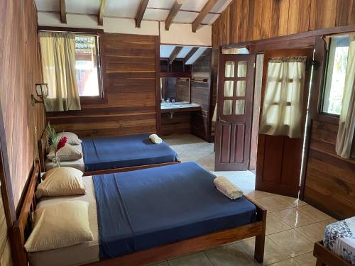 two beds in a room with wooden walls at Perla Negra Beachfront in Puerto Viejo