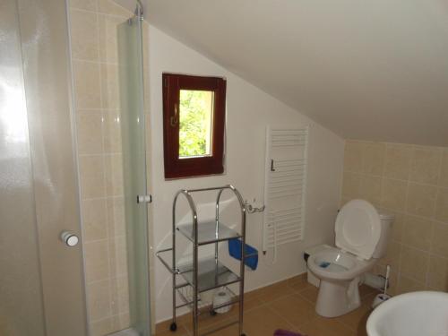 a bathroom with a toilet and a sink and a shower at Chalupa na Hrbku in Belá