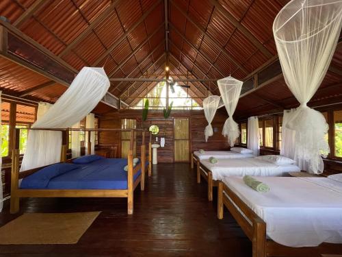 a room with four beds with mosquito nets at Hacienda Rio Oro in Agua Buena