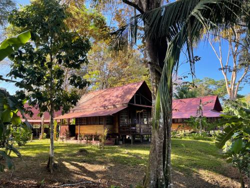 a house in the middle of the forest at Hacienda Rio Oro in Agua Buena