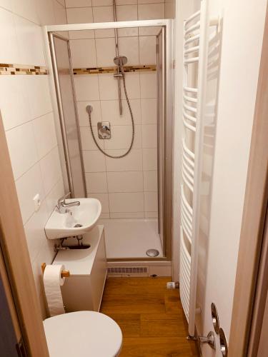 a bathroom with a shower and a toilet and a sink at FELIX LIVING 1, Zentrale 2-Personen-Wohnung, Ideal für Business & Paare, Parkplatz in Passau