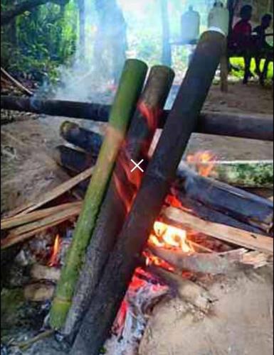a group of bamboo sticks cooking over a fire at Billion Views Khaosok Homestay in Khao Sok