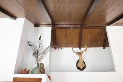 a room with a wooden ceiling with a deer head on the wall at Villa Africa in La Muela