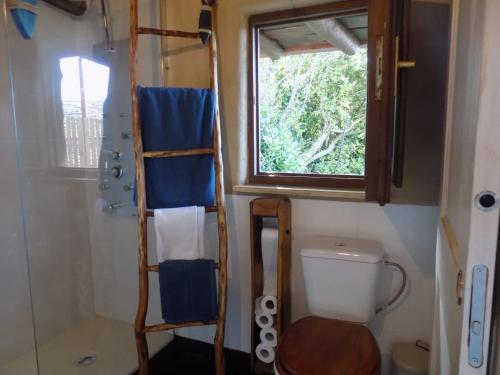 a bathroom with a toilet and a ladder next to a window at Cabaña Bioxana in Molejón