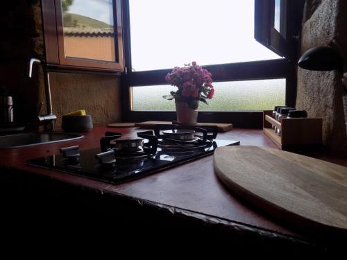 a stove top with a vase of flowers next to a window at Cabaña Bioxana in Molejón
