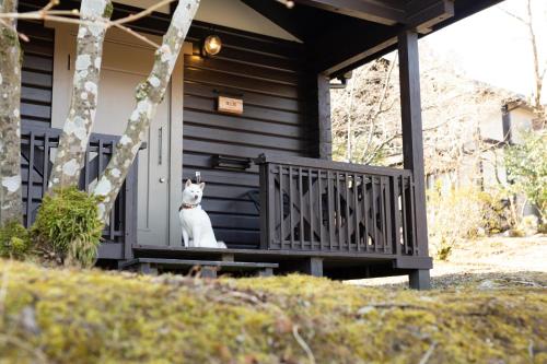 a cat sitting on the porch of a house at Hanare no Yado Hanagokoro in Minamioguni