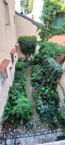a garden with green plants on the side of a building at Giardino Segreto in Bologna