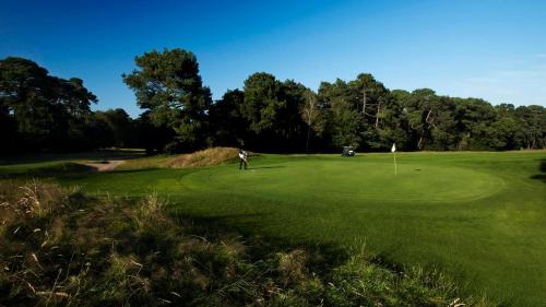 a person is playing golf on a green at Large 3 Bedroom Apartment with Free Parking near Beach and Meyrick Park Fast WiFi in Bournemouth