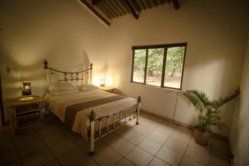 a bedroom with a bed and a window at Kaia Homestead in Sodwana Bay
