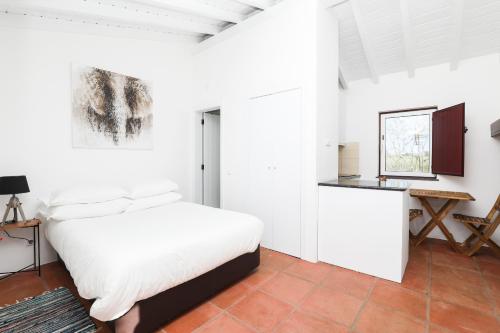 a white bedroom with a bed and a tv at Quinta da Tapada de São Pedro in Vimieiro