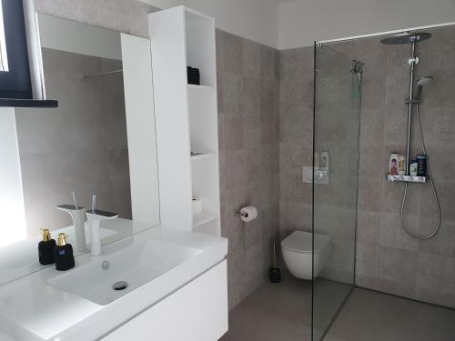 a bathroom with a shower and a sink and a toilet at Kvarner Luxury Loft in Lovran