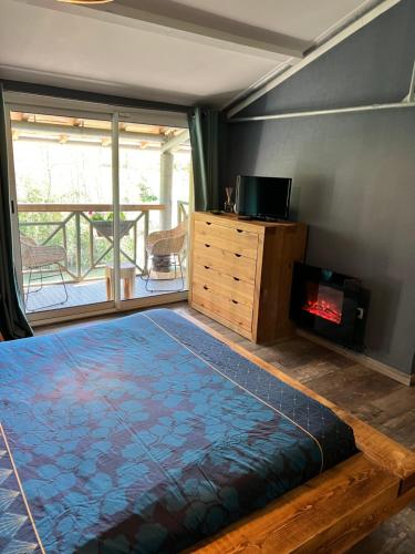 a bedroom with a bed and a fireplace in it at Relais de la Venise verte in Coulon